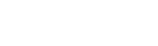 Levis x Canada Goose